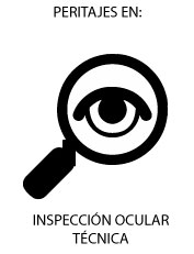 INSPECCION-OCULAR-TECNICA